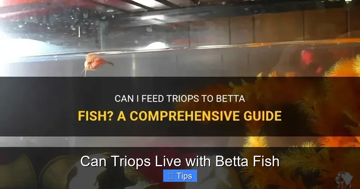Can Triops Live with Betta Fish