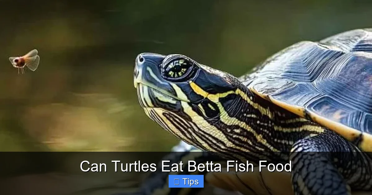 Can Turtles Eat Betta Fish Food