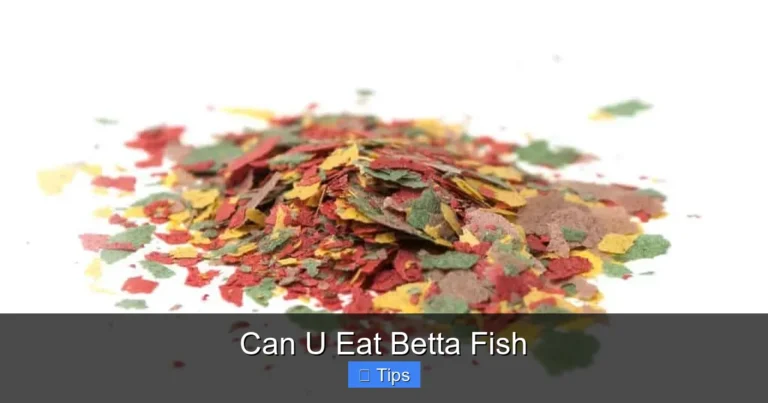 Can U Eat Betta Fish