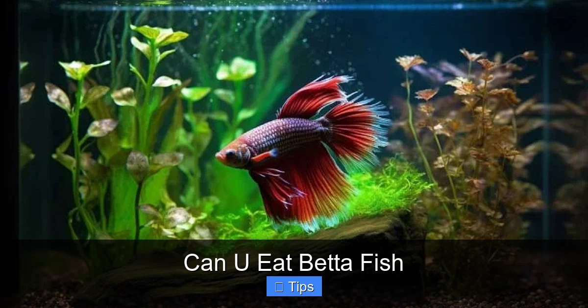 Can U Eat Betta Fish