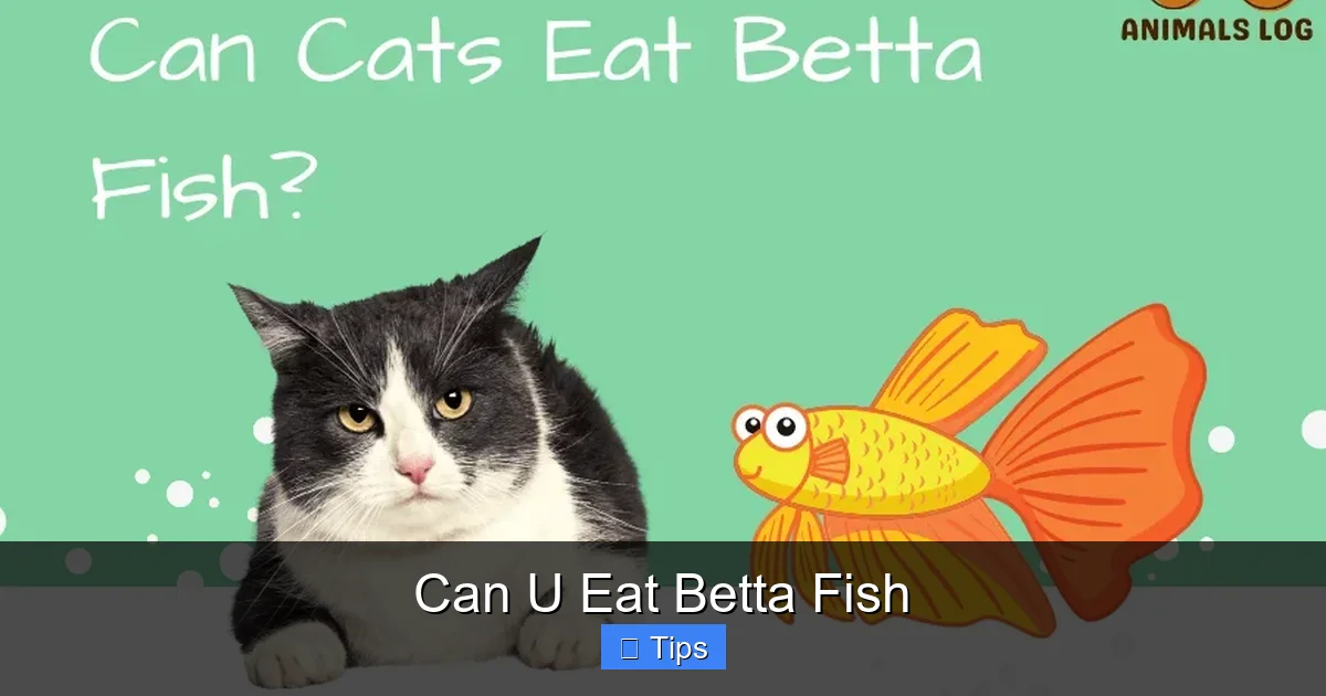 Can U Eat Betta Fish