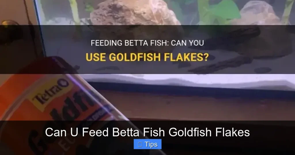 Can U Feed Betta Fish Goldfish Flakes