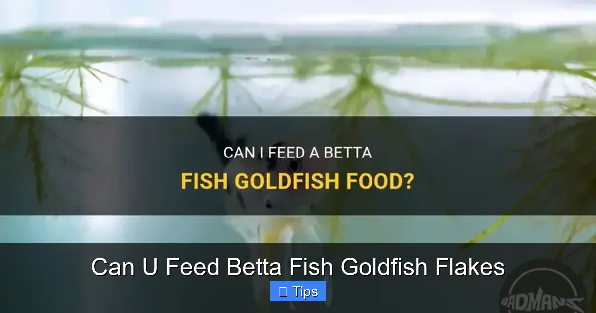 Can U Feed Betta Fish Goldfish Flakes