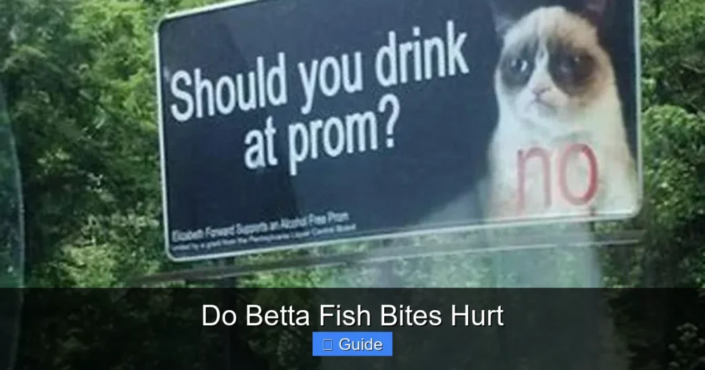 Do Betta Fish Bites Hurt