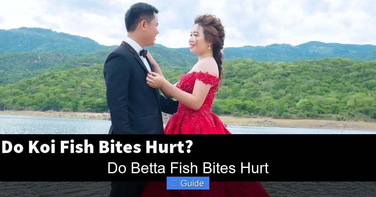 Do Betta Fish Bites Hurt