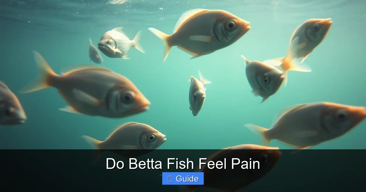 Do Betta Fish Feel Pain