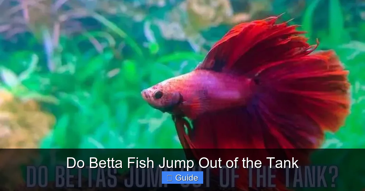 Do Betta Fish Jump Out of the Tank