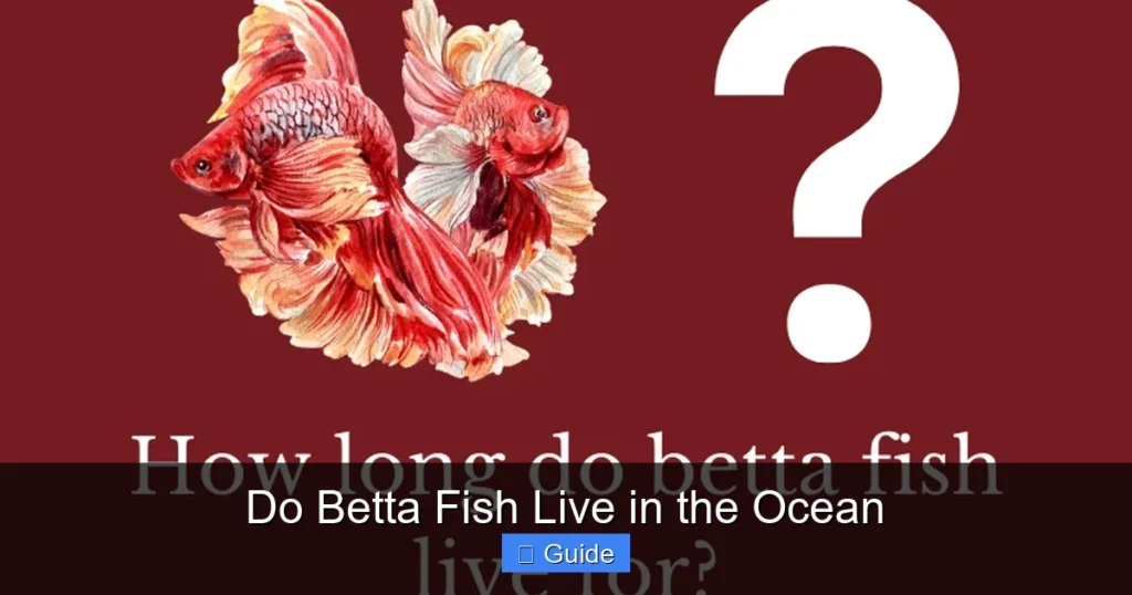 Do Betta Fish Live in the Ocean