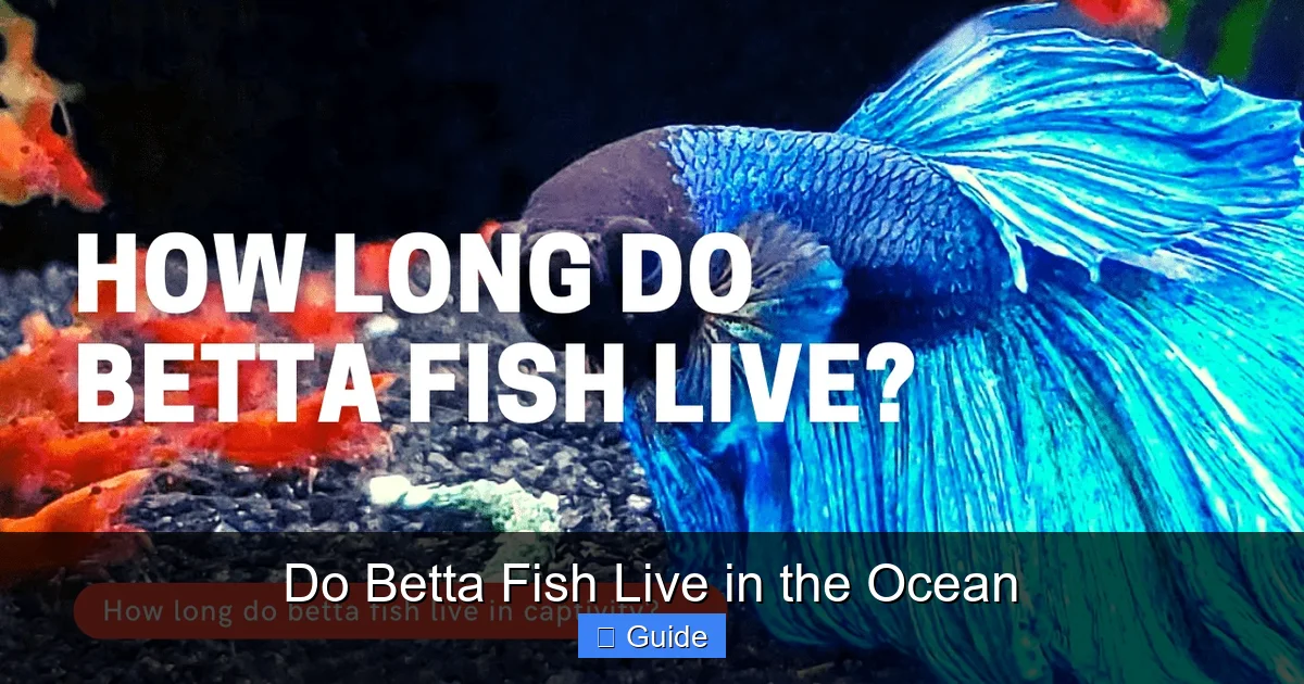 Do Betta Fish Live in the Ocean