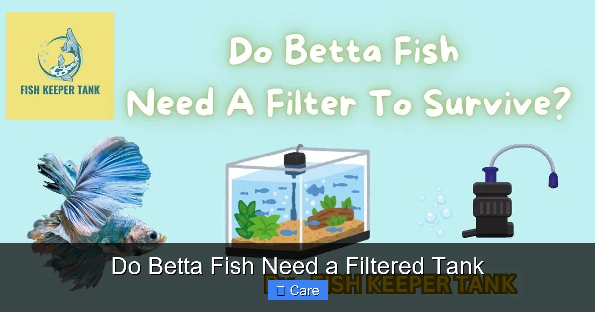Do Betta Fish Need a Filtered Tank
