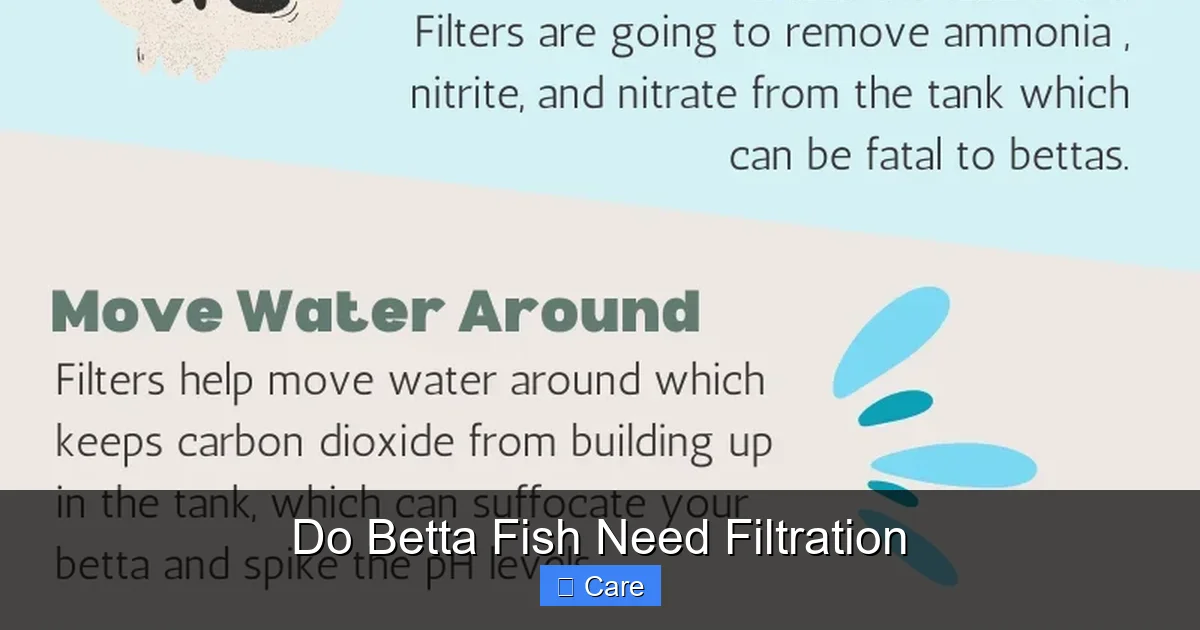 Do Betta Fish Need Filtration