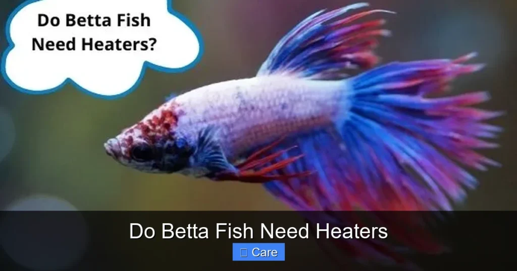 Do Betta Fish Need Heaters