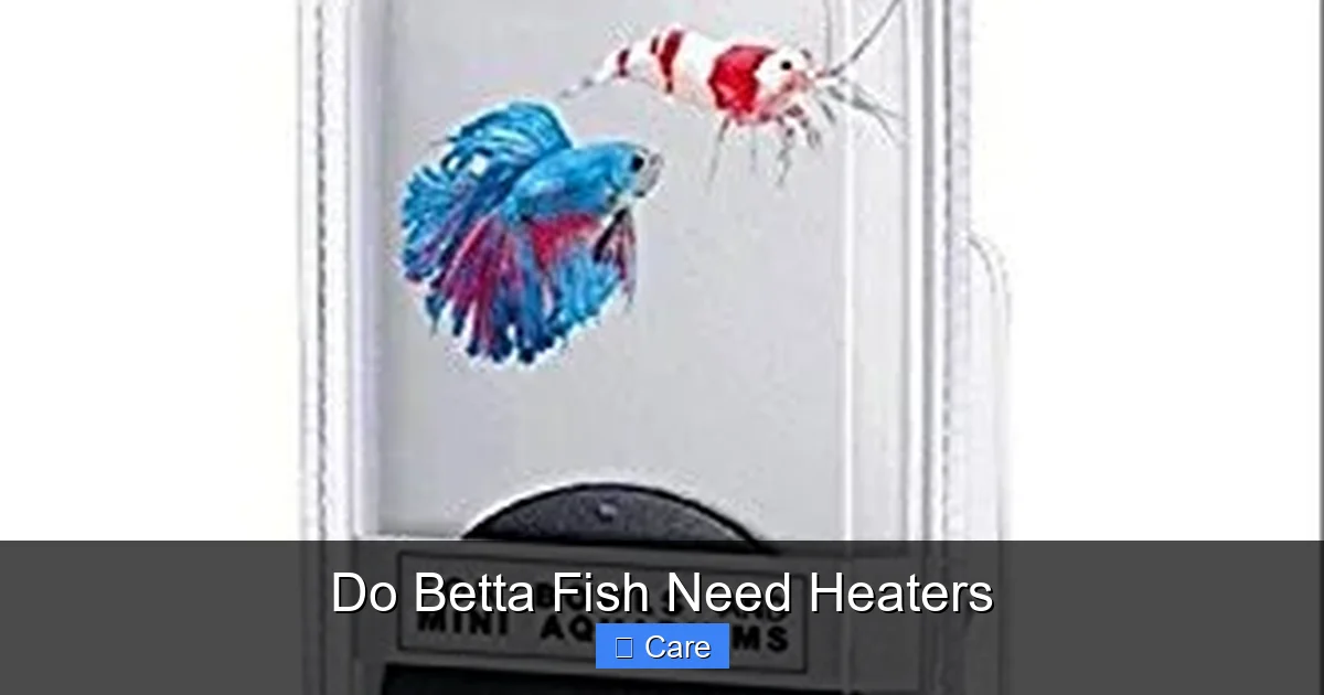 Do Betta Fish Need Heaters