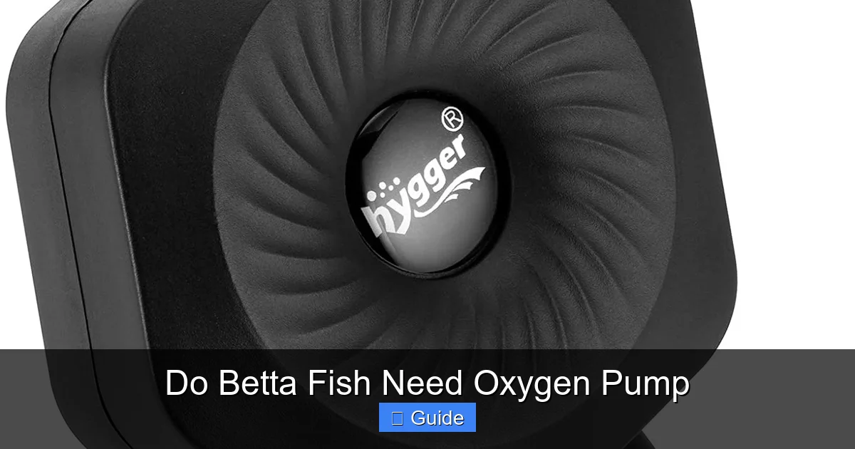 Do Betta Fish Need Oxygen Pump