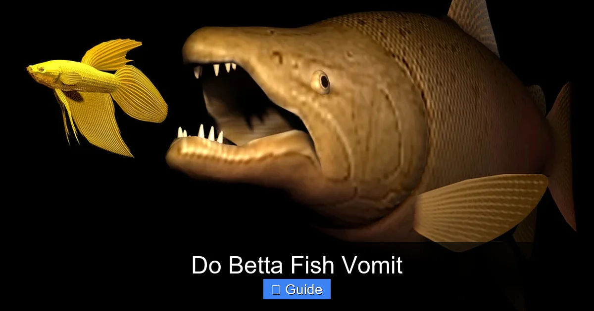 Do Betta Fish Vomit