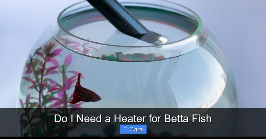 Do I Need a Heater for Betta Fish