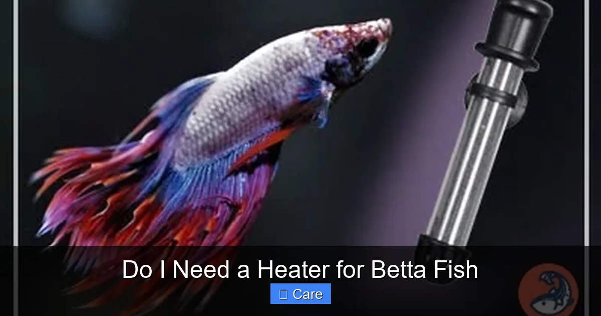 Do I Need a Heater for Betta Fish