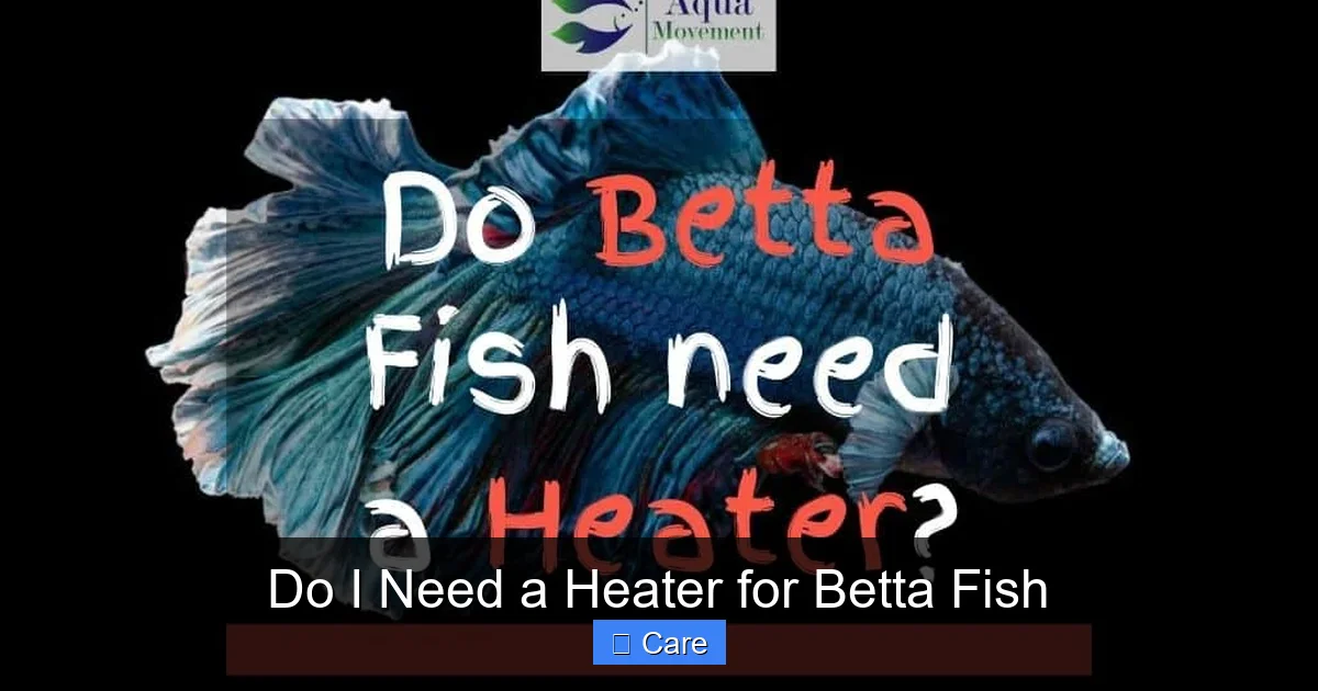 Do I Need a Heater for Betta Fish