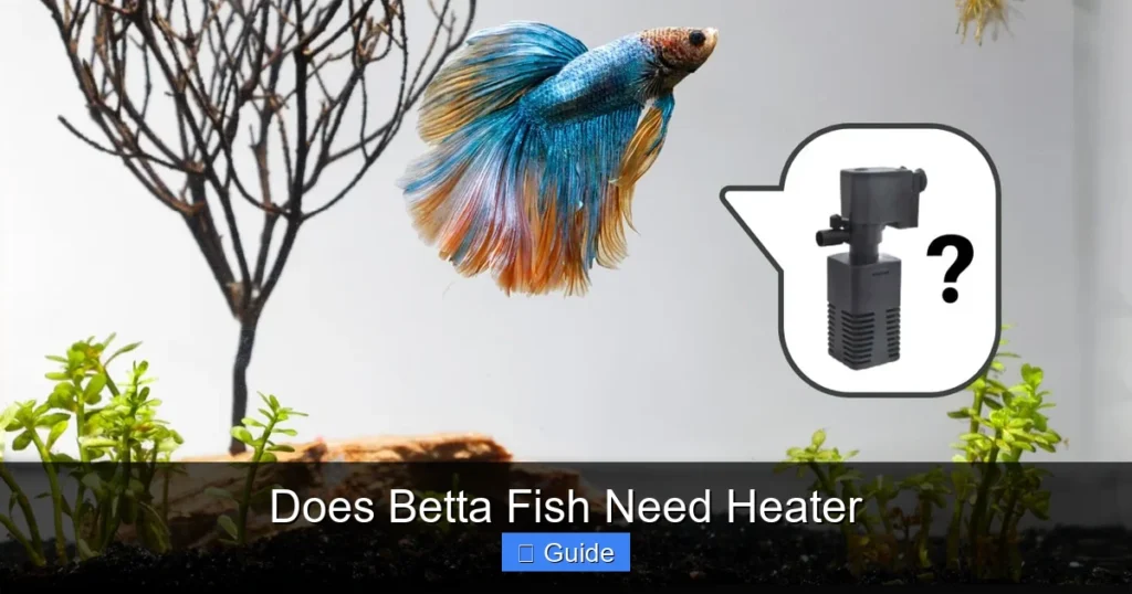 Does Betta Fish Need Heater