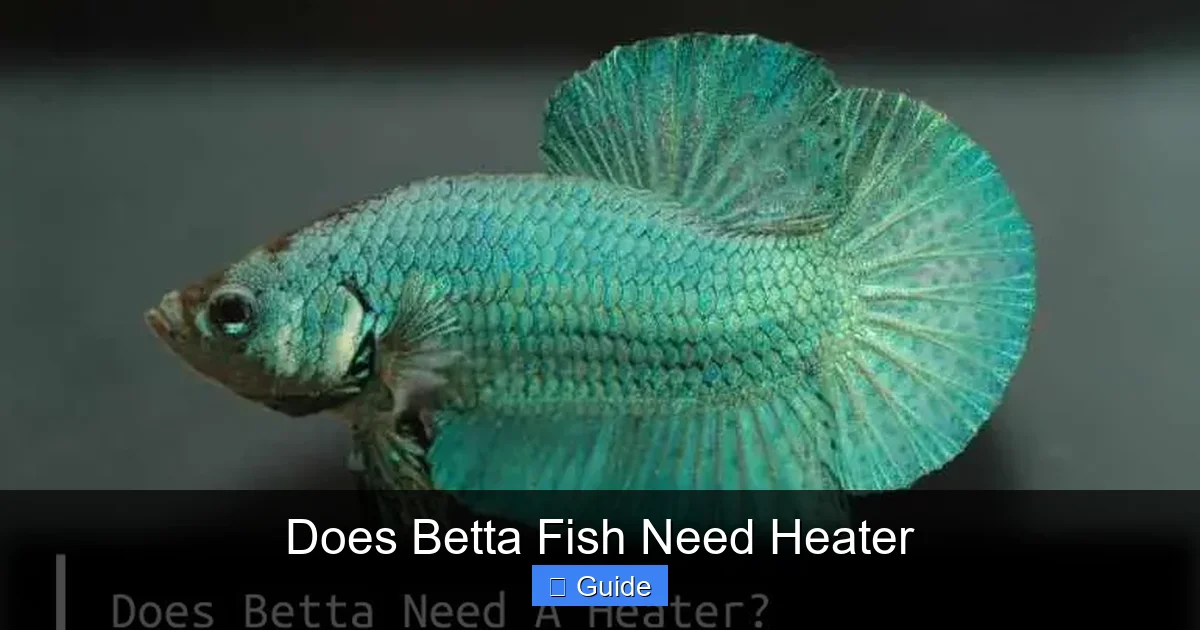 Does Betta Fish Need Heater