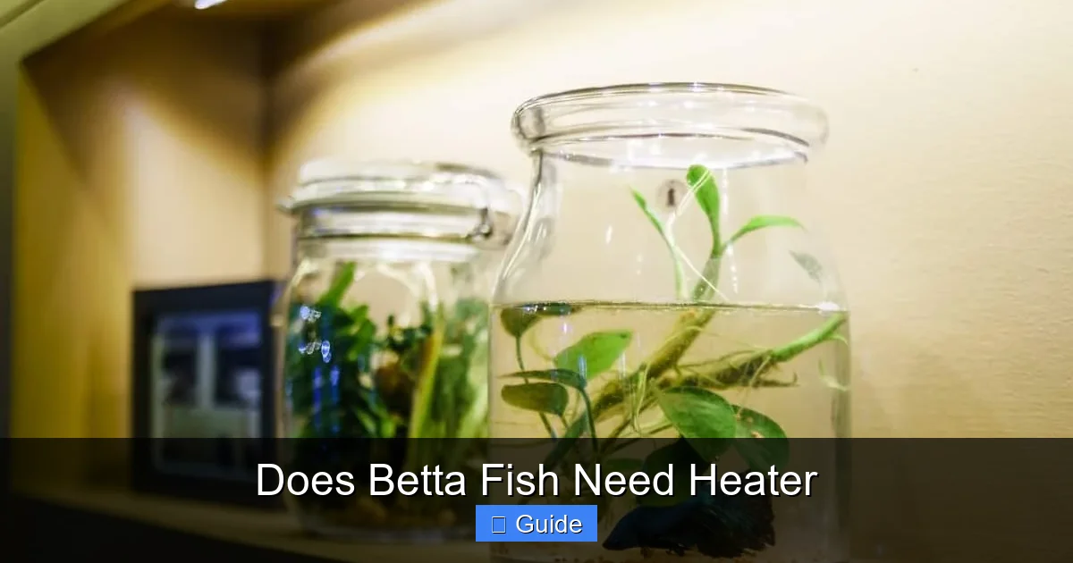 Does Betta Fish Need Heater
