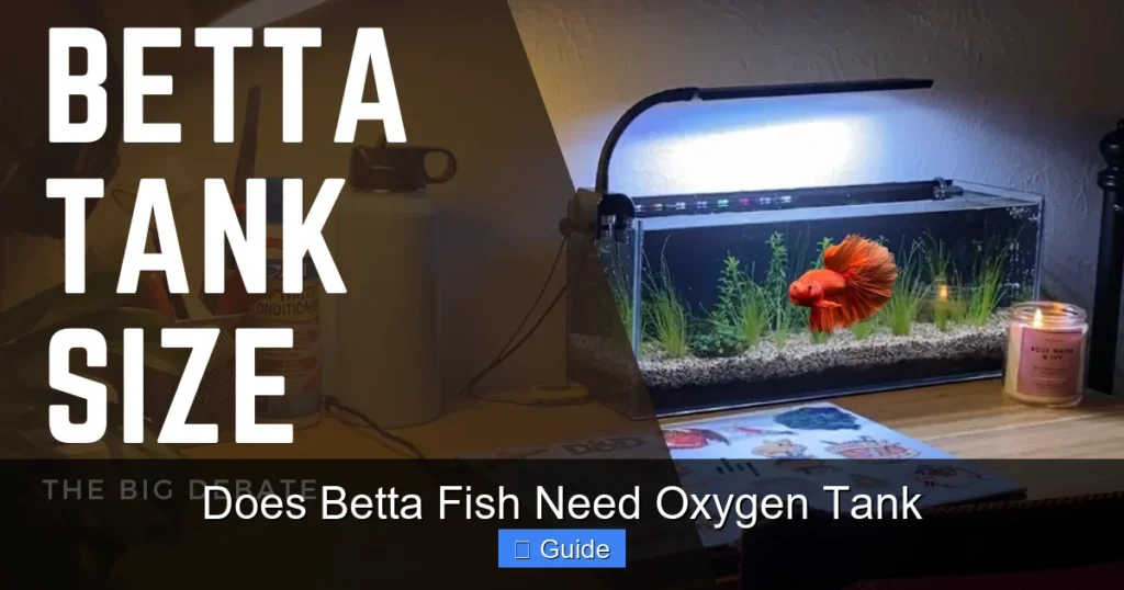 Does Betta Fish Need Oxygen Tank