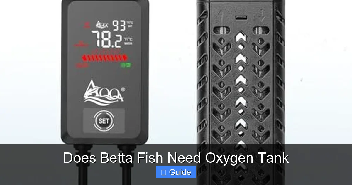 Does Betta Fish Need Oxygen Tank