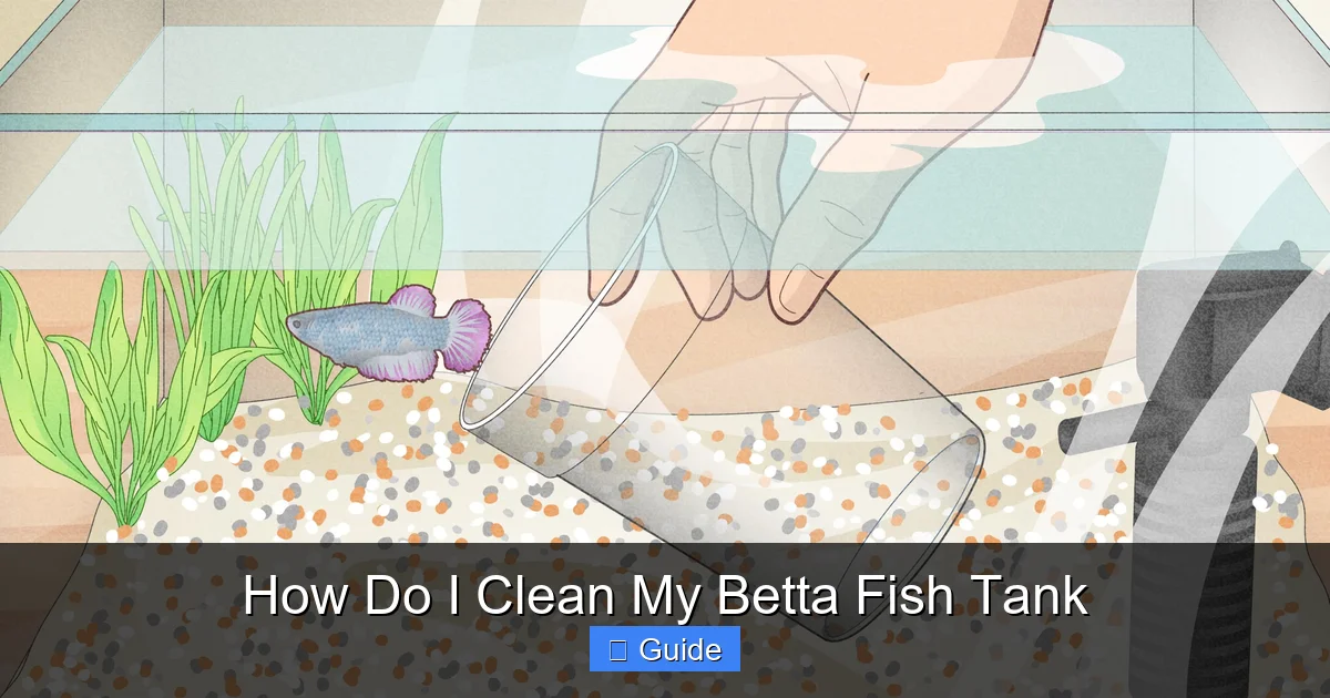 How Do I Clean My Betta Fish Tank