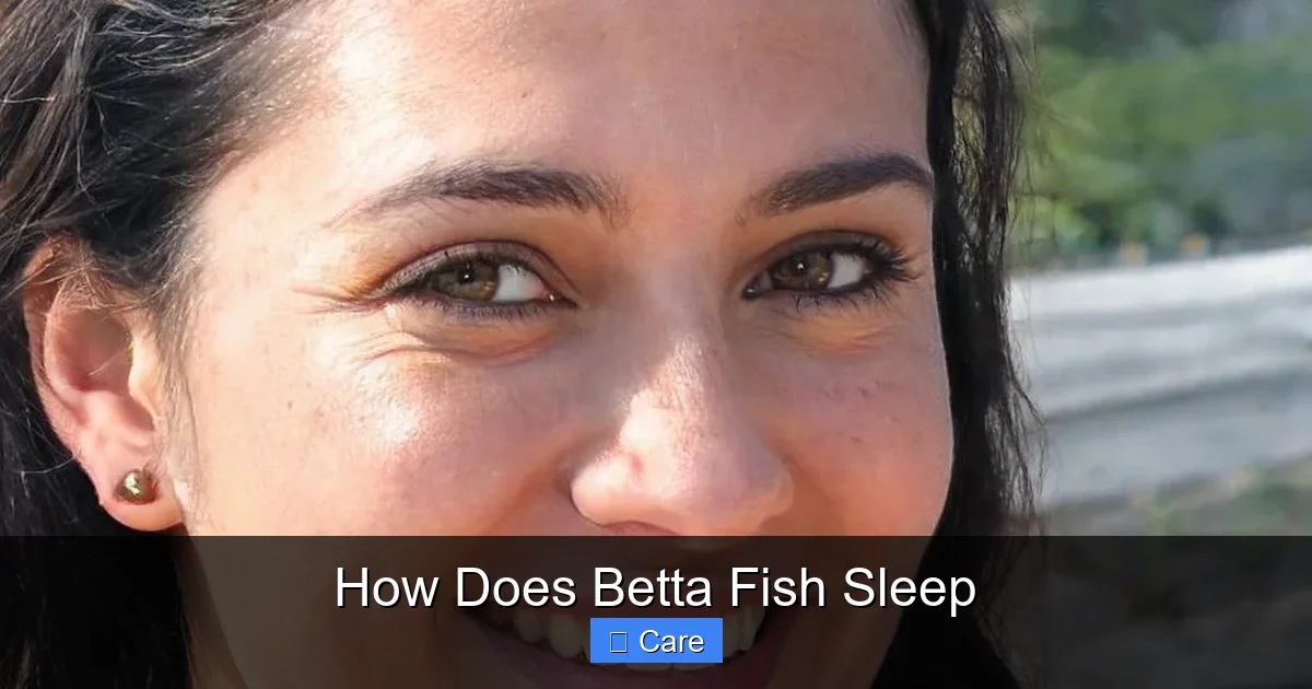 How Does Betta Fish Sleep