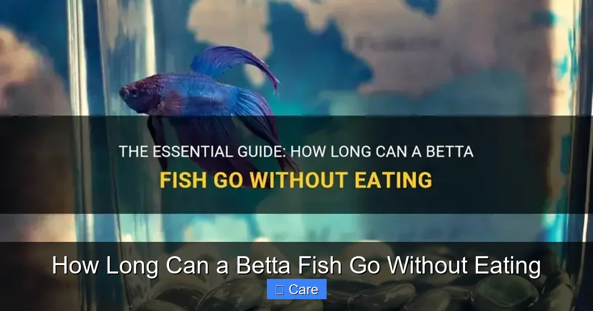 How Long Can a Betta Fish Go Without Eating