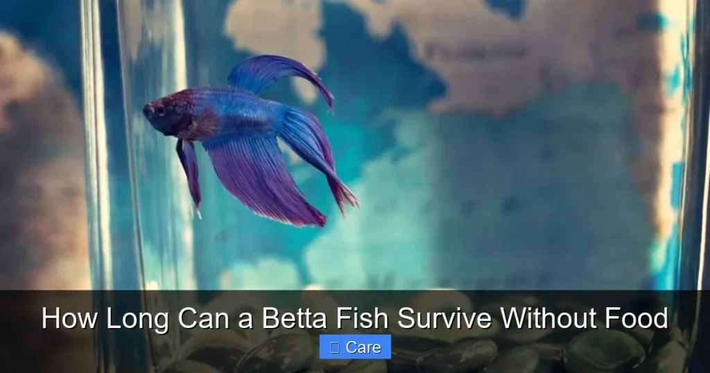 How Long Can a Betta Fish Survive Without Food