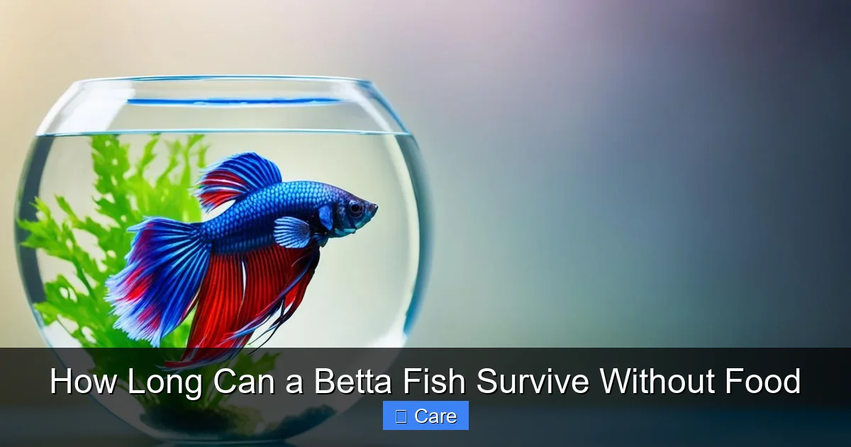 How Long Can a Betta Fish Survive Without Food