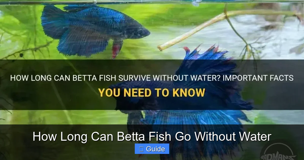 How Long Can Betta Fish Go Without Water