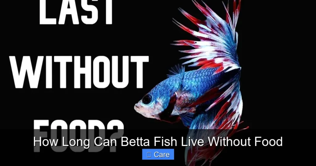 How Long Can Betta Fish Live Without Food