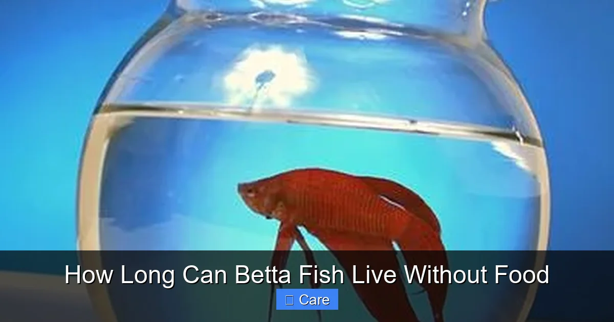 How Long Can Betta Fish Live Without Food