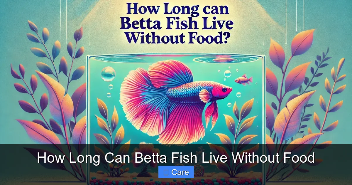 How Long Can Betta Fish Live Without Food