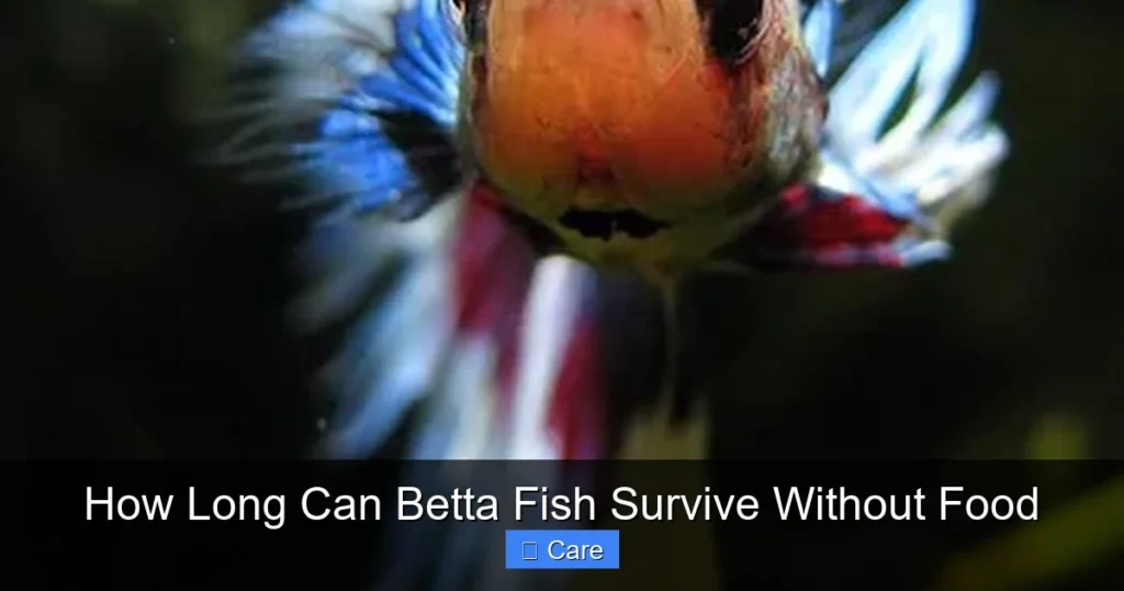How Long Can Betta Fish Survive Without Food