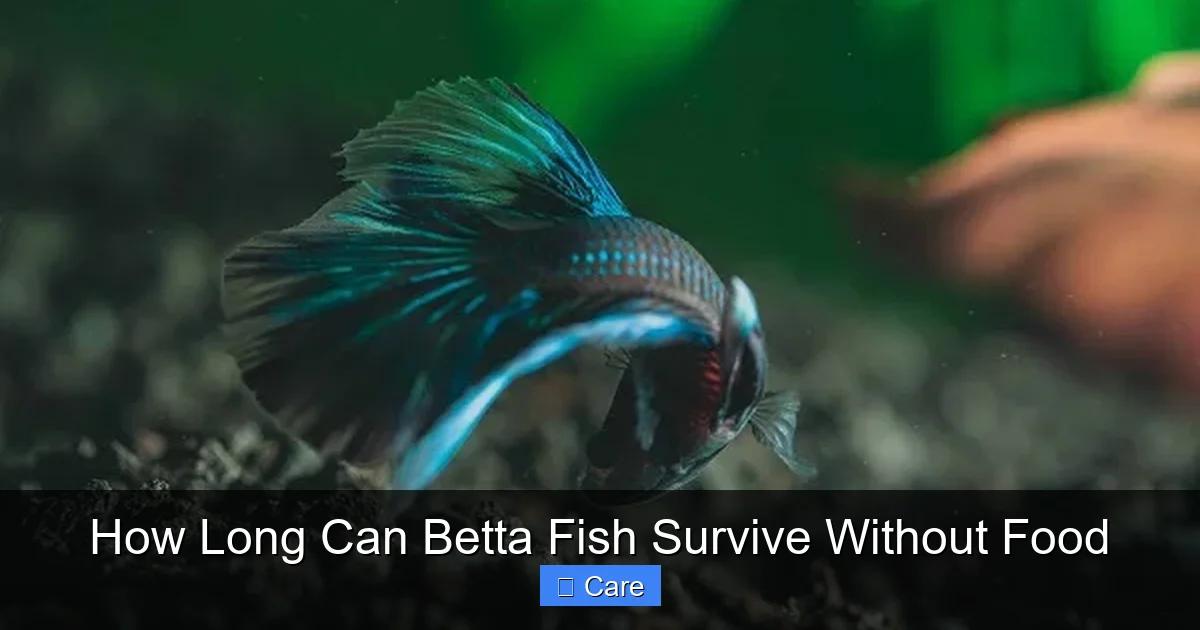 How Long Can Betta Fish Survive Without Food