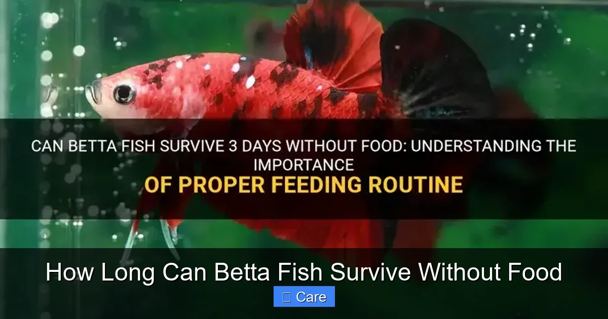 How Long Can Betta Fish Survive Without Food