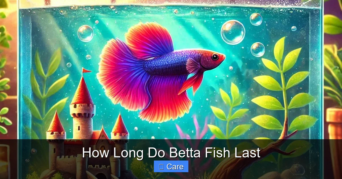 How Long Do Betta Fish Last