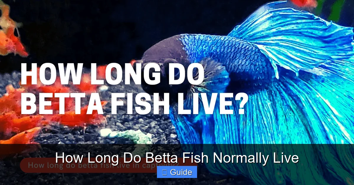 How Long Do Betta Fish Normally Live