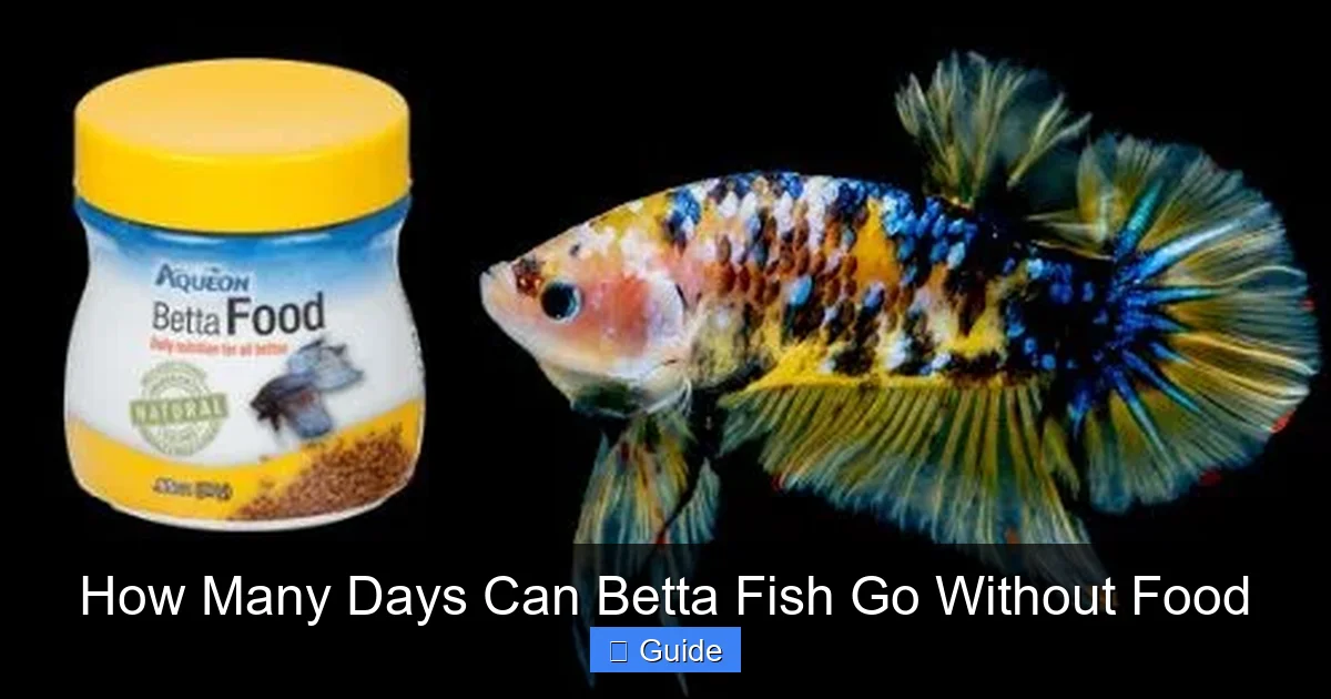 How Many Days Can Betta Fish Go Without Food