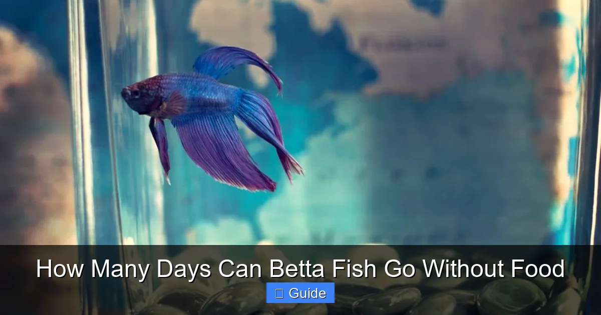 How Many Days Can Betta Fish Go Without Food