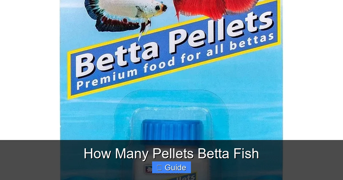 How Many Pellets Betta Fish