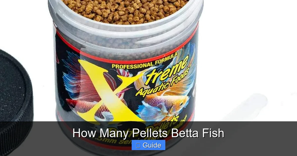 How Many Pellets Betta Fish