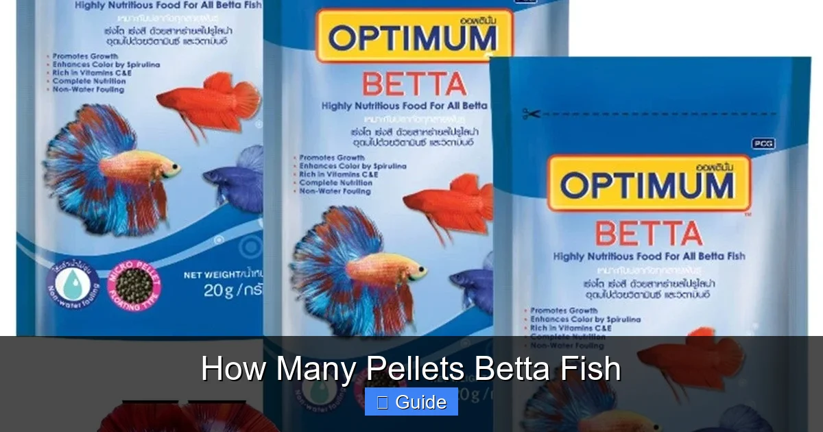 How Many Pellets Betta Fish