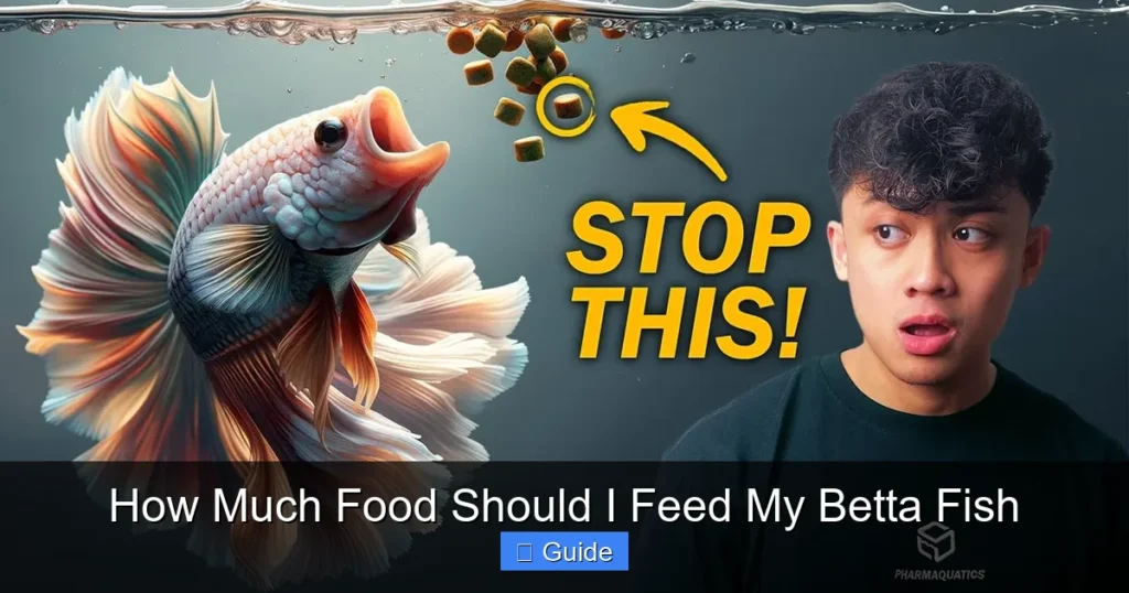 How Much Food Should I Feed My Betta Fish