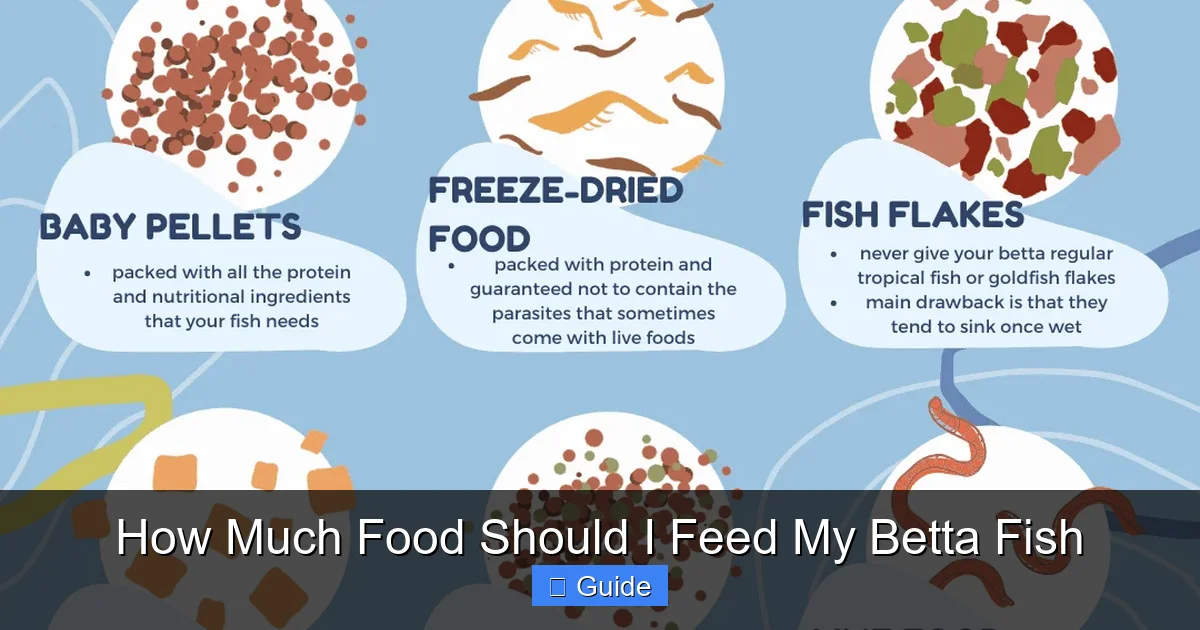 How Much Food Should I Feed My Betta Fish