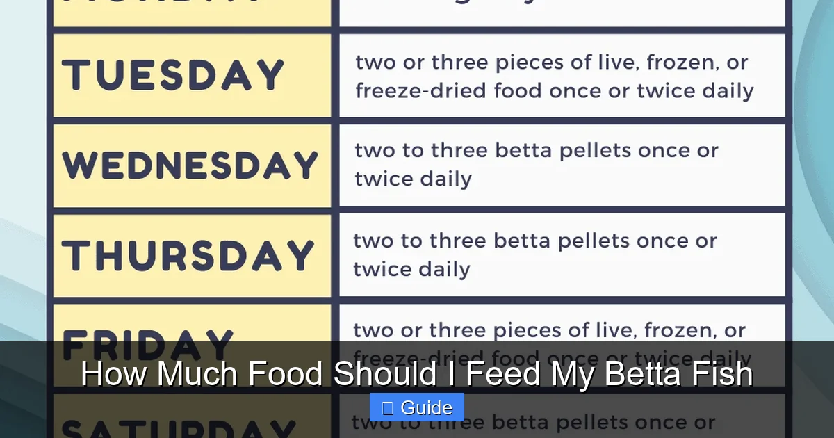 How Much Food Should I Feed My Betta Fish