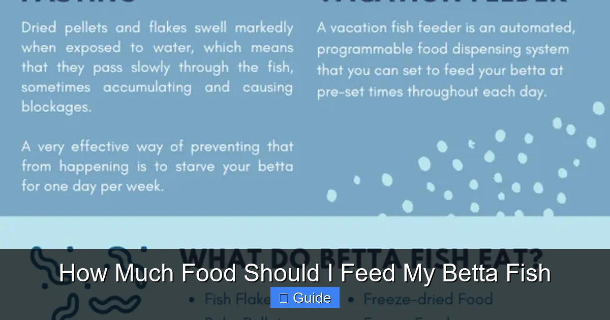 How Much Food Should I Feed My Betta Fish